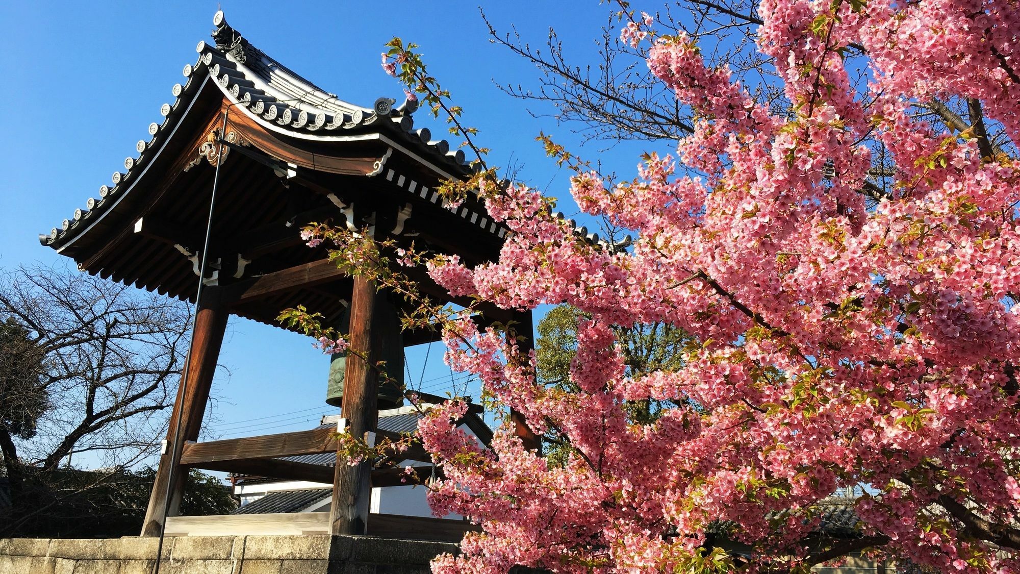 Stay Sakura Kyoto Toji West I Kültér fotó