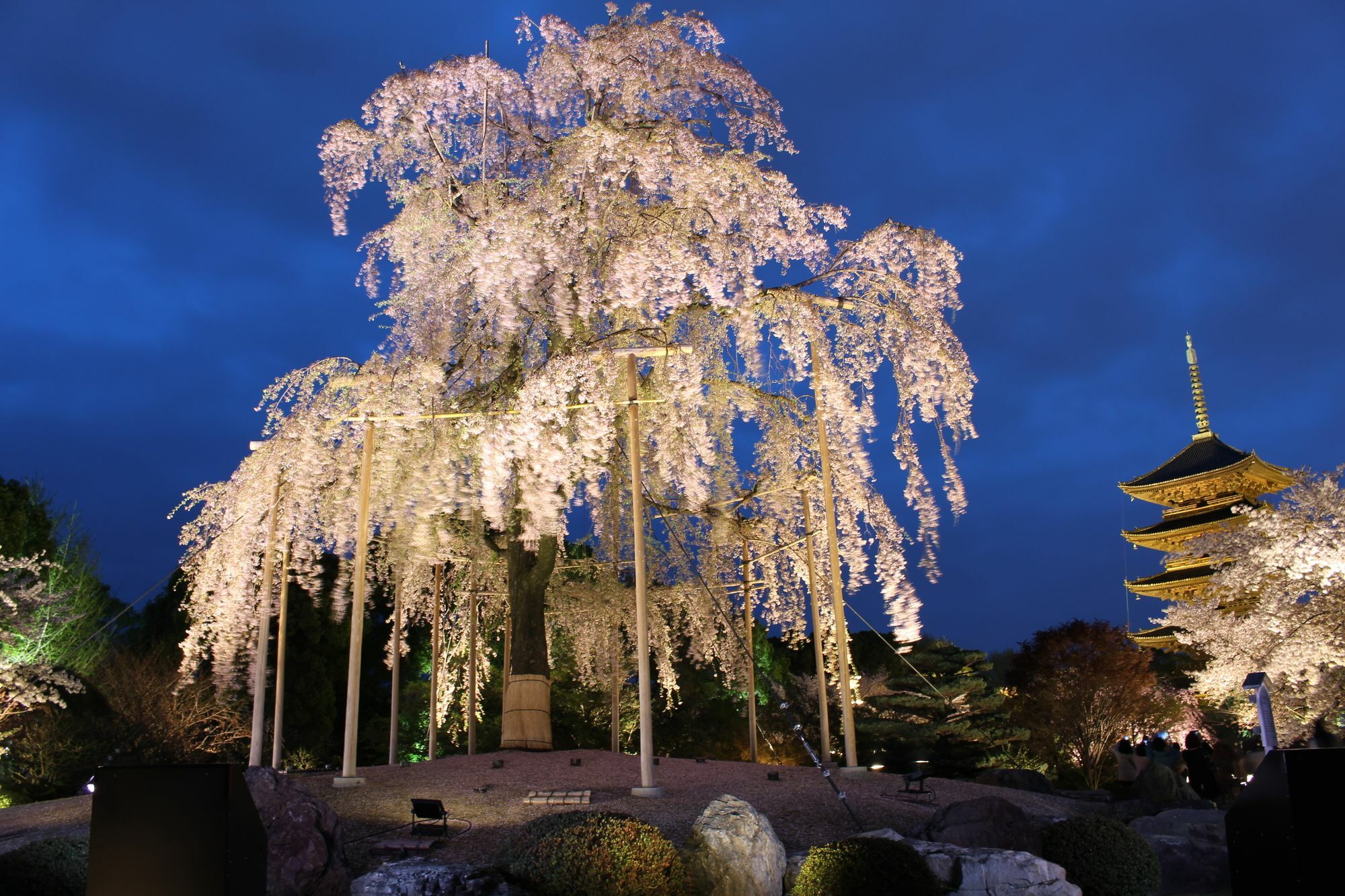 Stay Sakura Kyoto Toji West I Kültér fotó