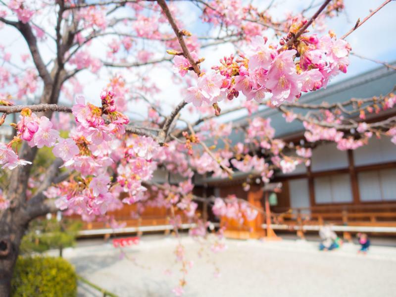 Stay Sakura Kyoto Toji West I Kültér fotó